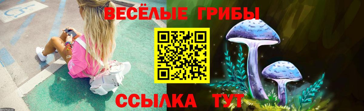 Галлюциногенные грибы Magic Shrooms Сокол