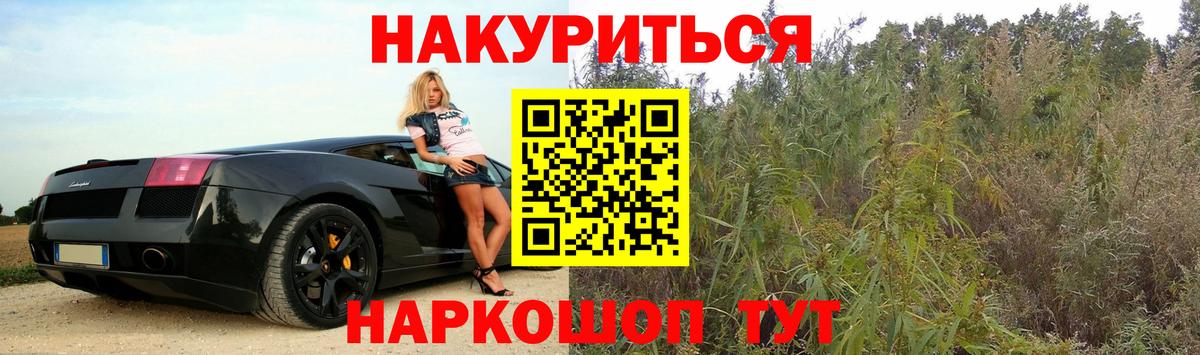 Каннабис сатива  Канабис VHQ  Сокол  Вход с VPN 